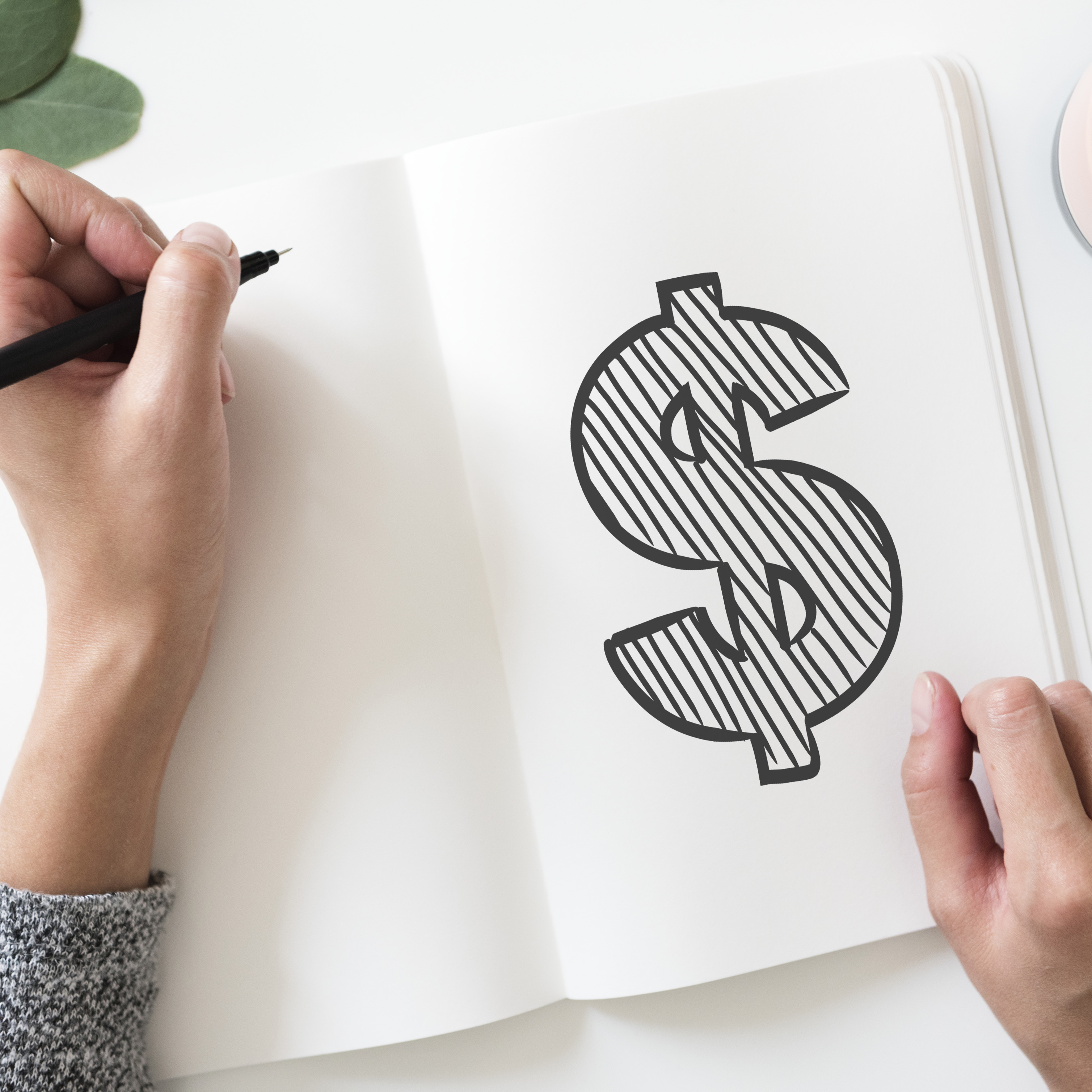 What Are the Options for Raising Startup Funds?